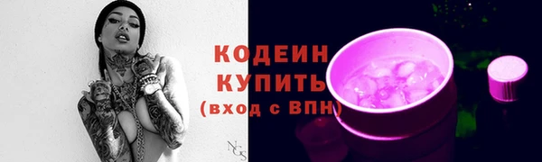 спиды Арсеньев