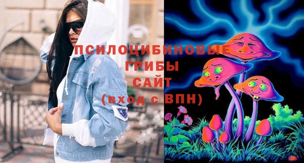 спиды Арсеньев