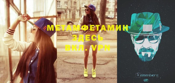 метадон Богданович