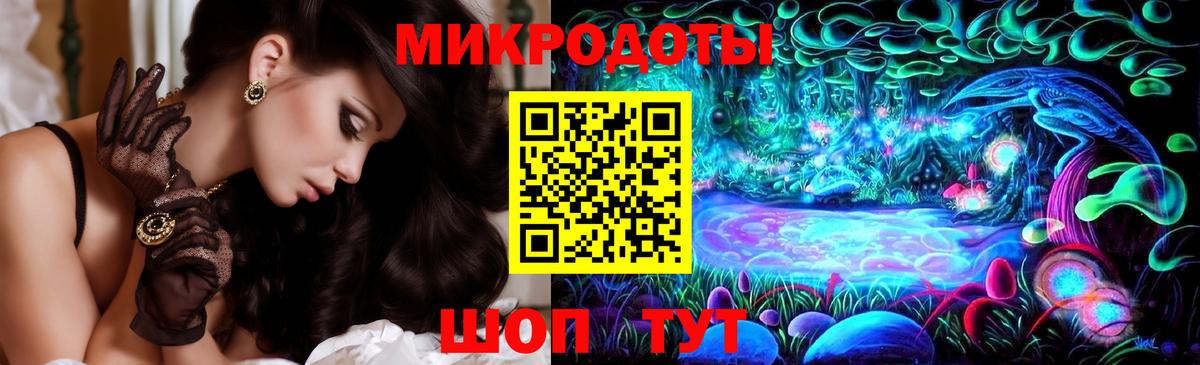 где купить наркотик  Псилоцибиновые грибы мухоморы  Вход с VPN  Сунжа 